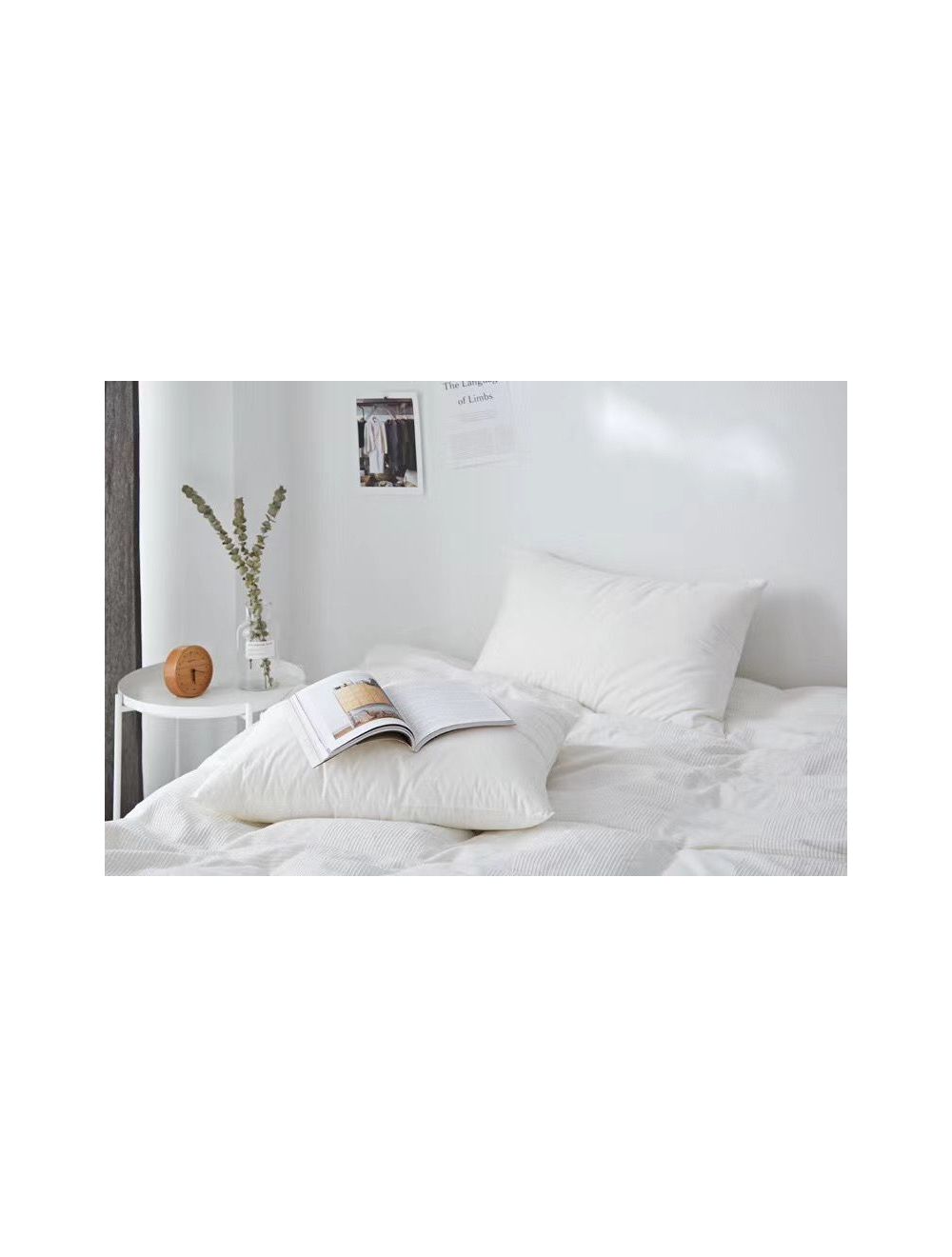 Rahalife 2 Piece Soft Smooth Pillow Set Microfiber White 48x74cm-AW/SS/74