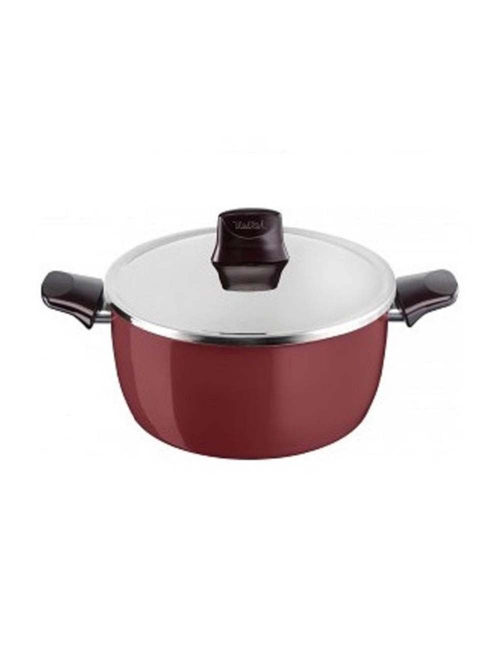 Tefal Pleasure Stew Pot with Lid 26 cm, D5055252